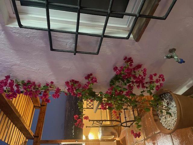 Apartamento Casa Abades