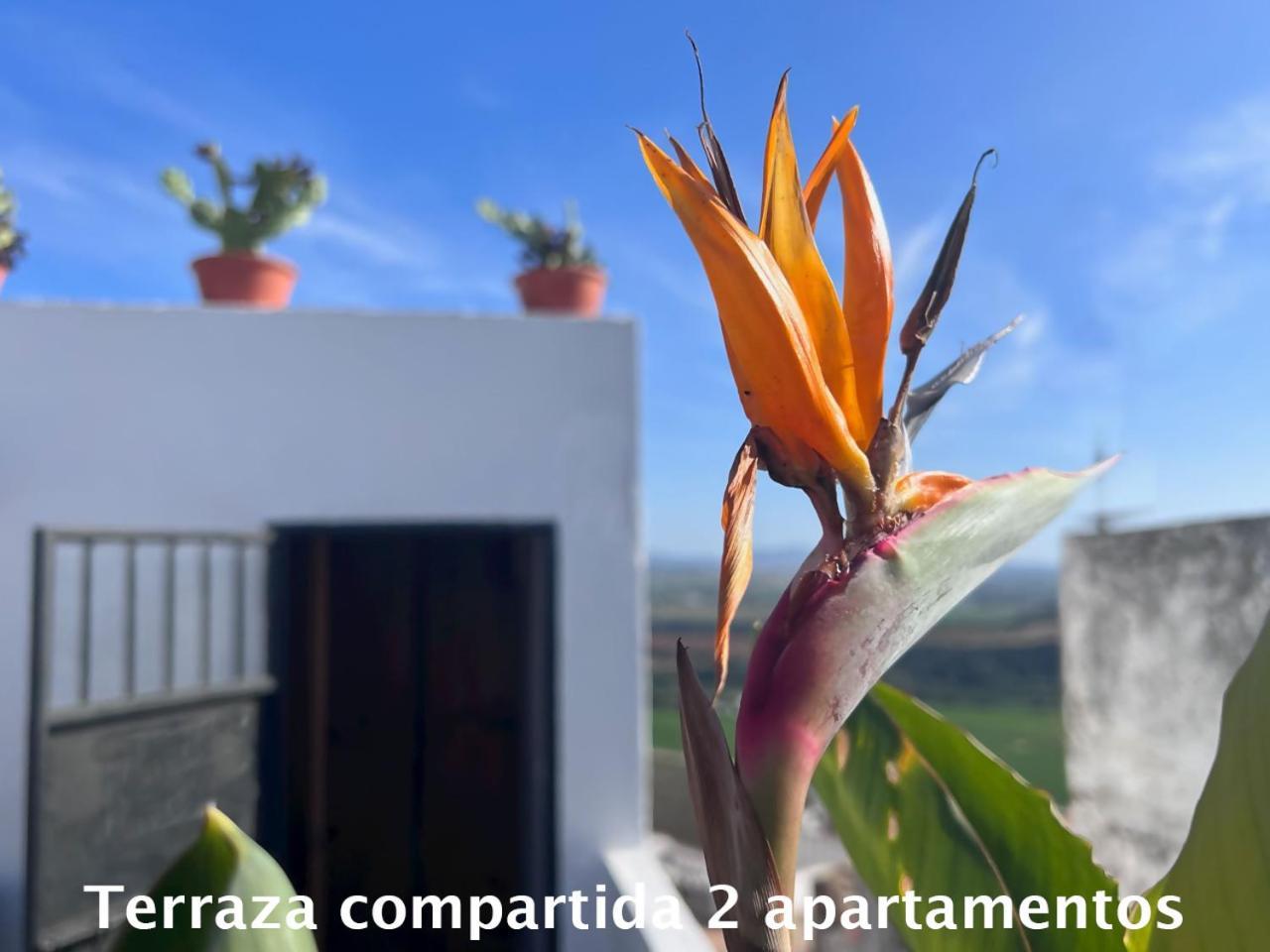 Apartamento Casa Abades